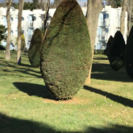 T3 Les Peupliers Proche Pasino Et Mer Lägenhet La Grande Motte Exteriör bild